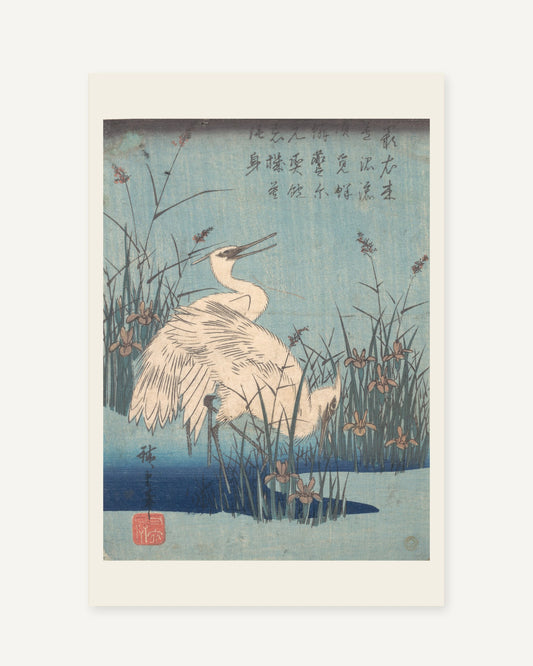 Egrets amid Irises and Grasses by Hiroshige (1830s) Japanese woodblock print - full print with paper-tone margin