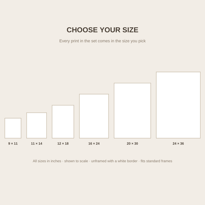 Size chart - 9x11, 11x14, 12x18, 16x24, 20x30 and 24x36 inches shown to scale