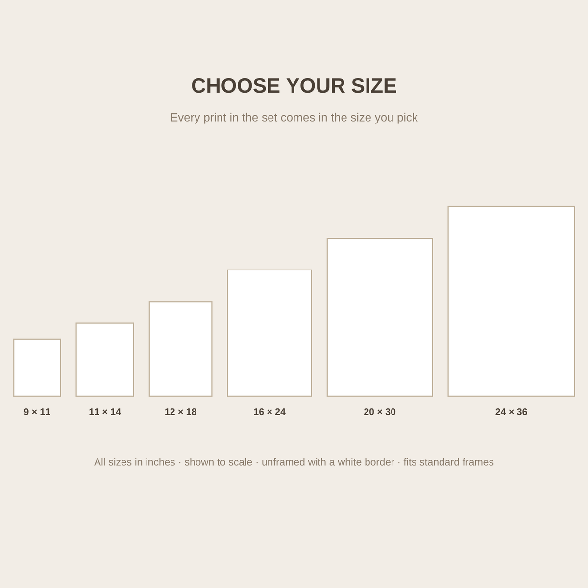Size chart - 9x11, 11x14, 12x18, 16x24, 20x30 and 24x36 inches shown to scale