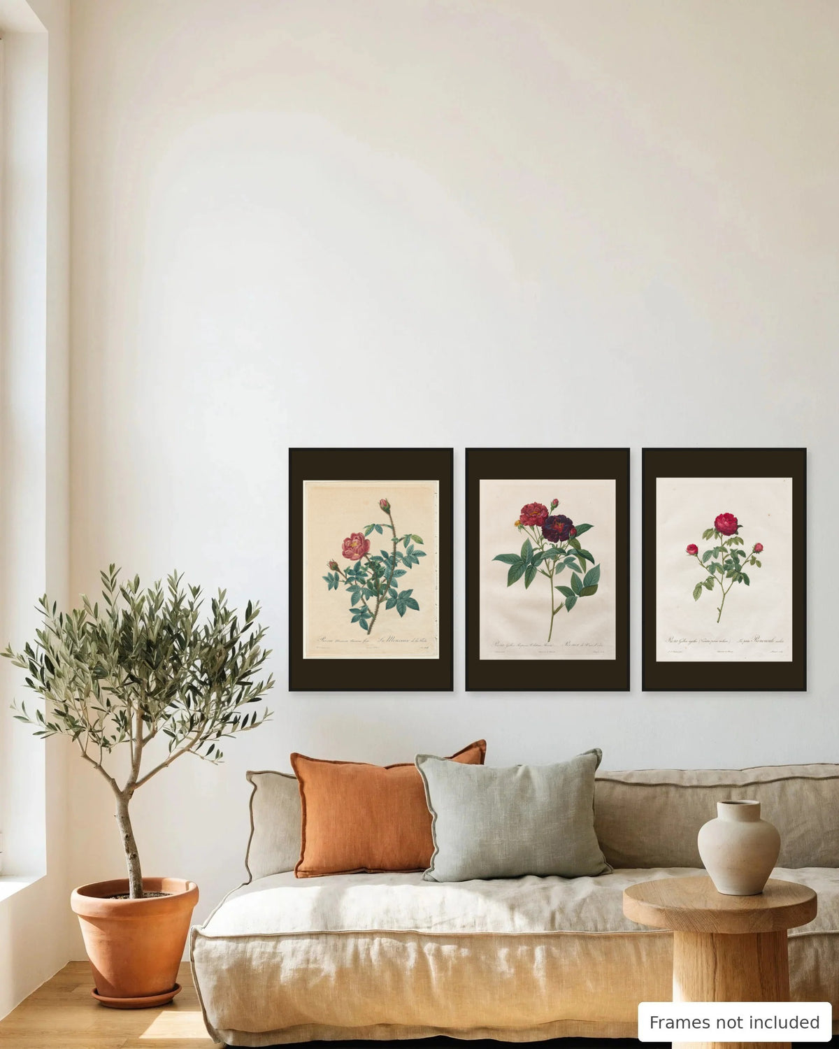 Crimson Redouté rose print set of 3 framed as a gallery wall above a sofa - frames not included