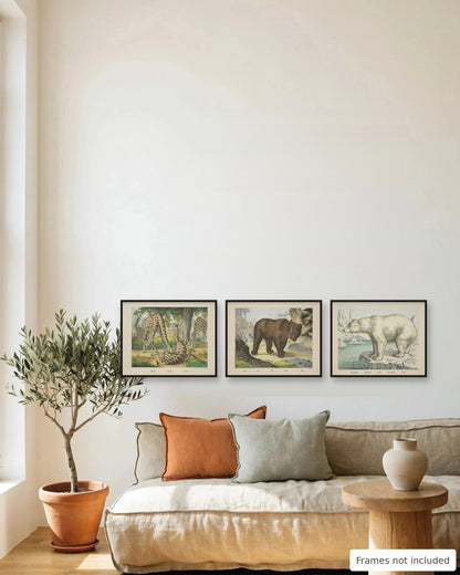 Vintage Animal Print Set of 3 framed as a gallery wall above a sofa - frames not included