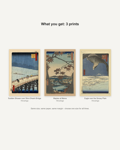What you get: 3 prints - Sudden Shower over Shin-Ohashi Bridge, Maples at Mama, Eagle over the Snowy Plain