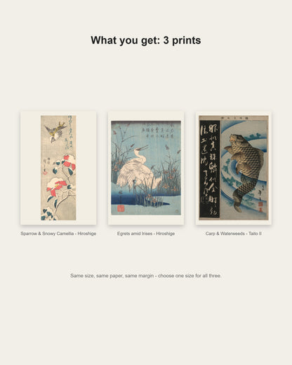 What you get: 3 prints - Sparrow and Snowy Camellia, Egrets amid Irises, Carp and Waterweeds