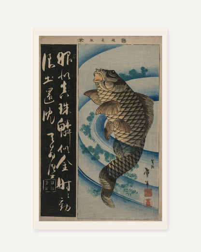 Carp and Waterweeds by Taito II (early 1830s) Japanese woodblock print - full print with paper-tone margin