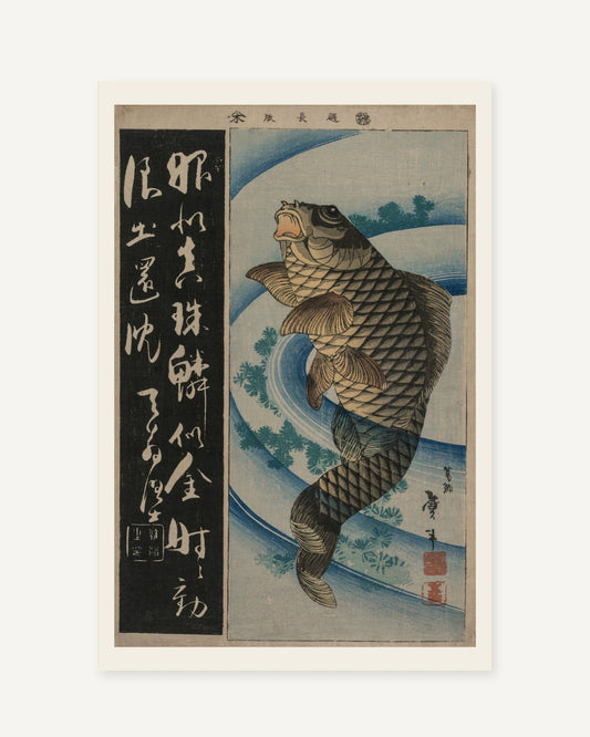 Carp and Waterweeds by Taito II (early 1830s) Japanese woodblock print - full print with paper-tone margin