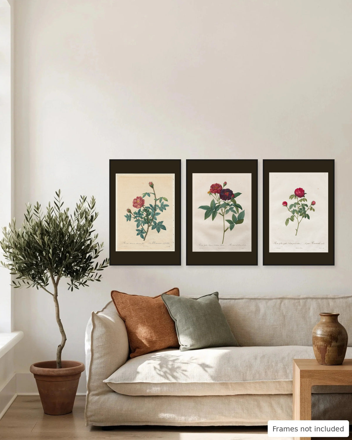 Crimson Redouté rose print set of 3 gallery wall, second view - frames not included