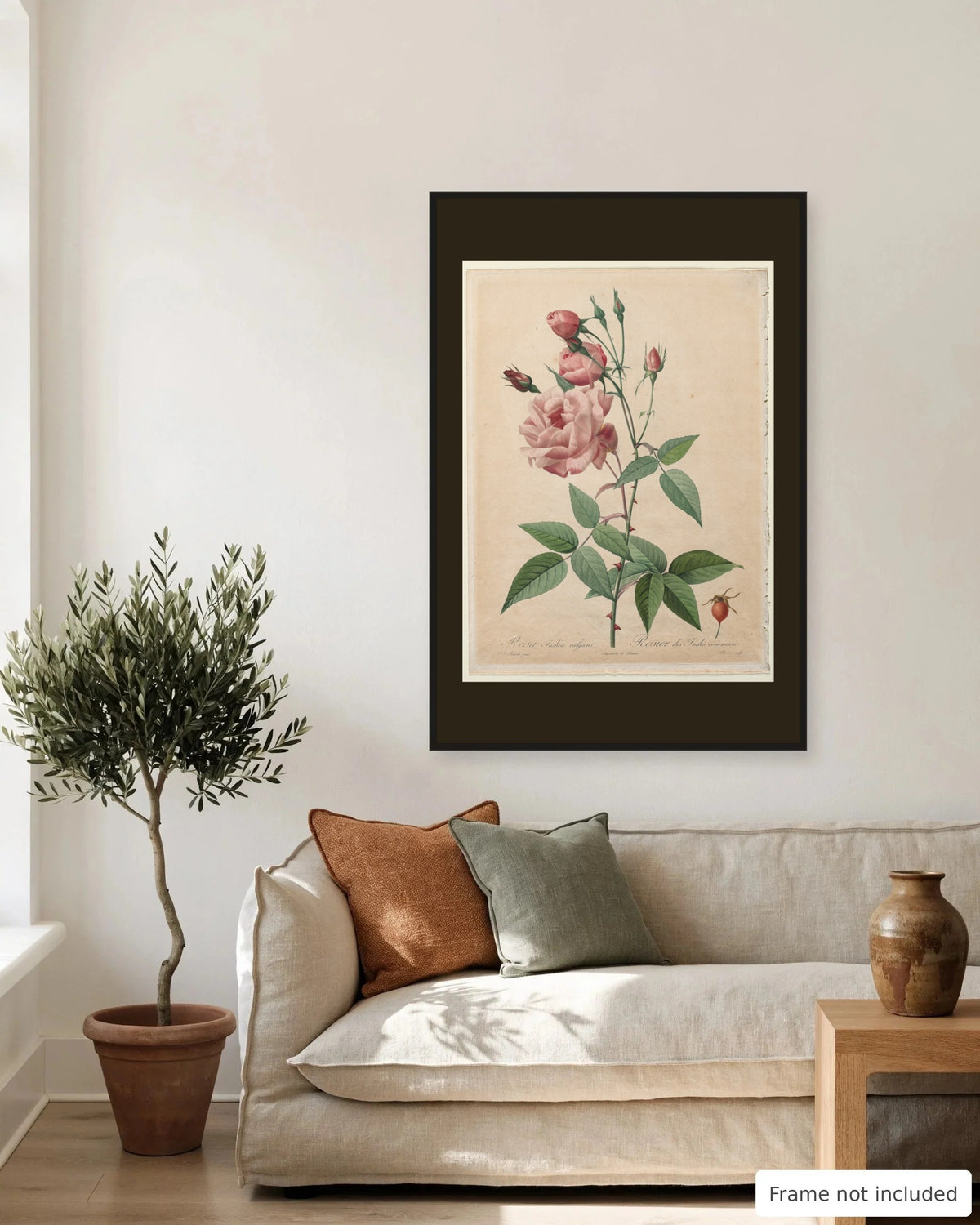 China Rose by Redouté (1817-24) on a living room wall, second view - frame not included