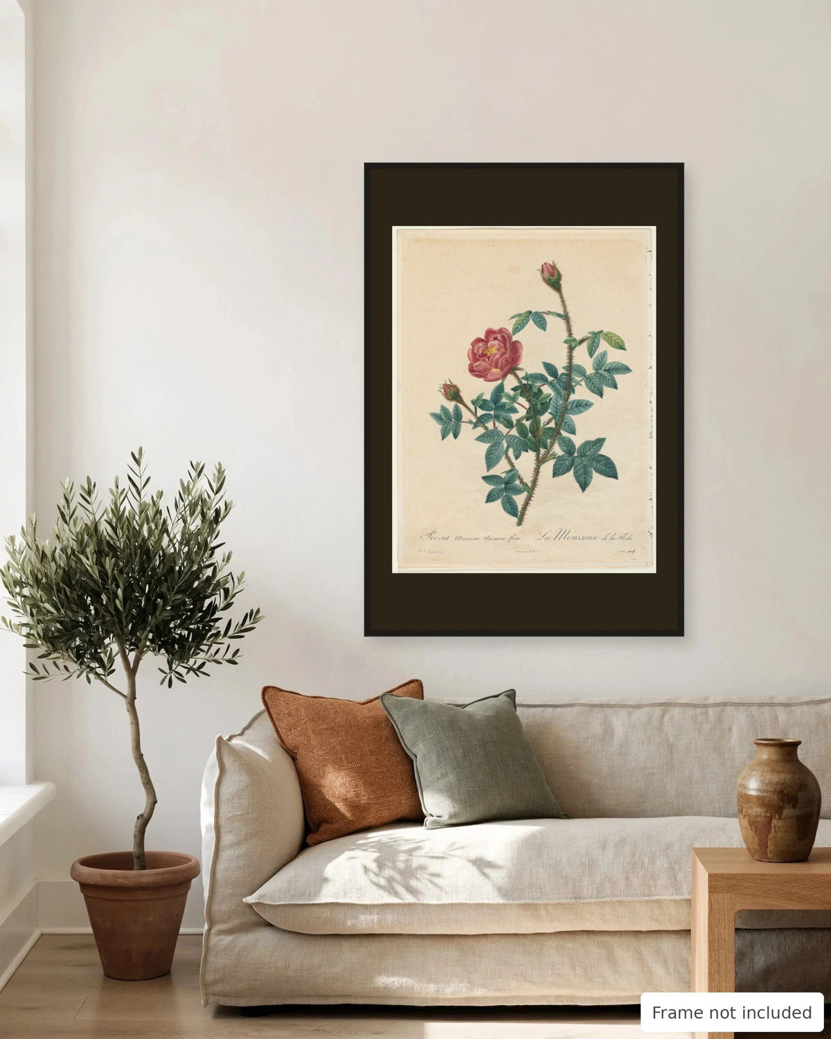 Moss Rose by Redouté (1817-24) on a living room wall, second view - frame not included