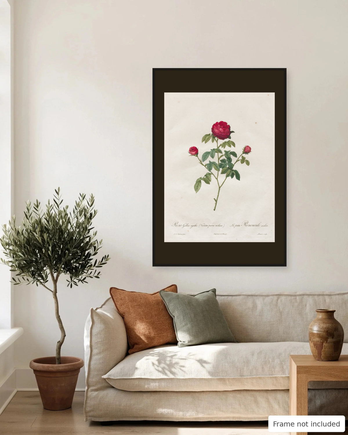 Provence Rose by Redouté (1817-24) on a living room wall, second view - frame not included