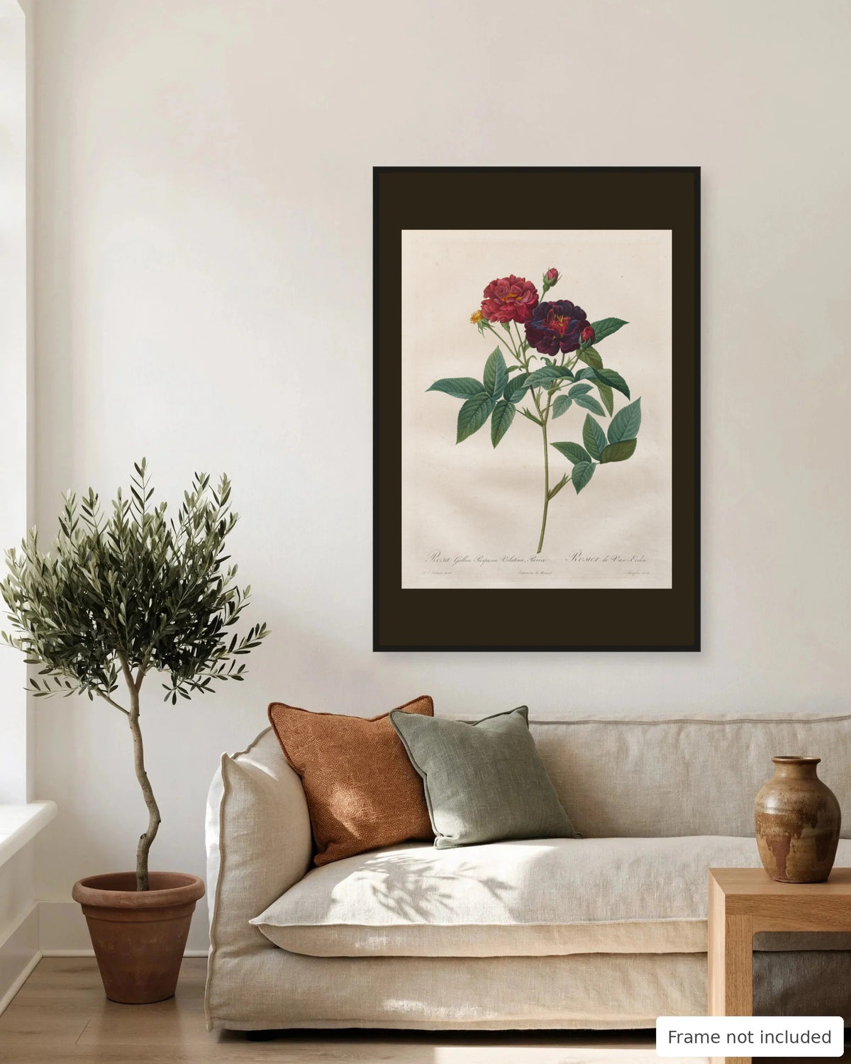 Velvet Purple Gallica Rose by Redouté (1817-24) on a living room wall, second view - frame not included