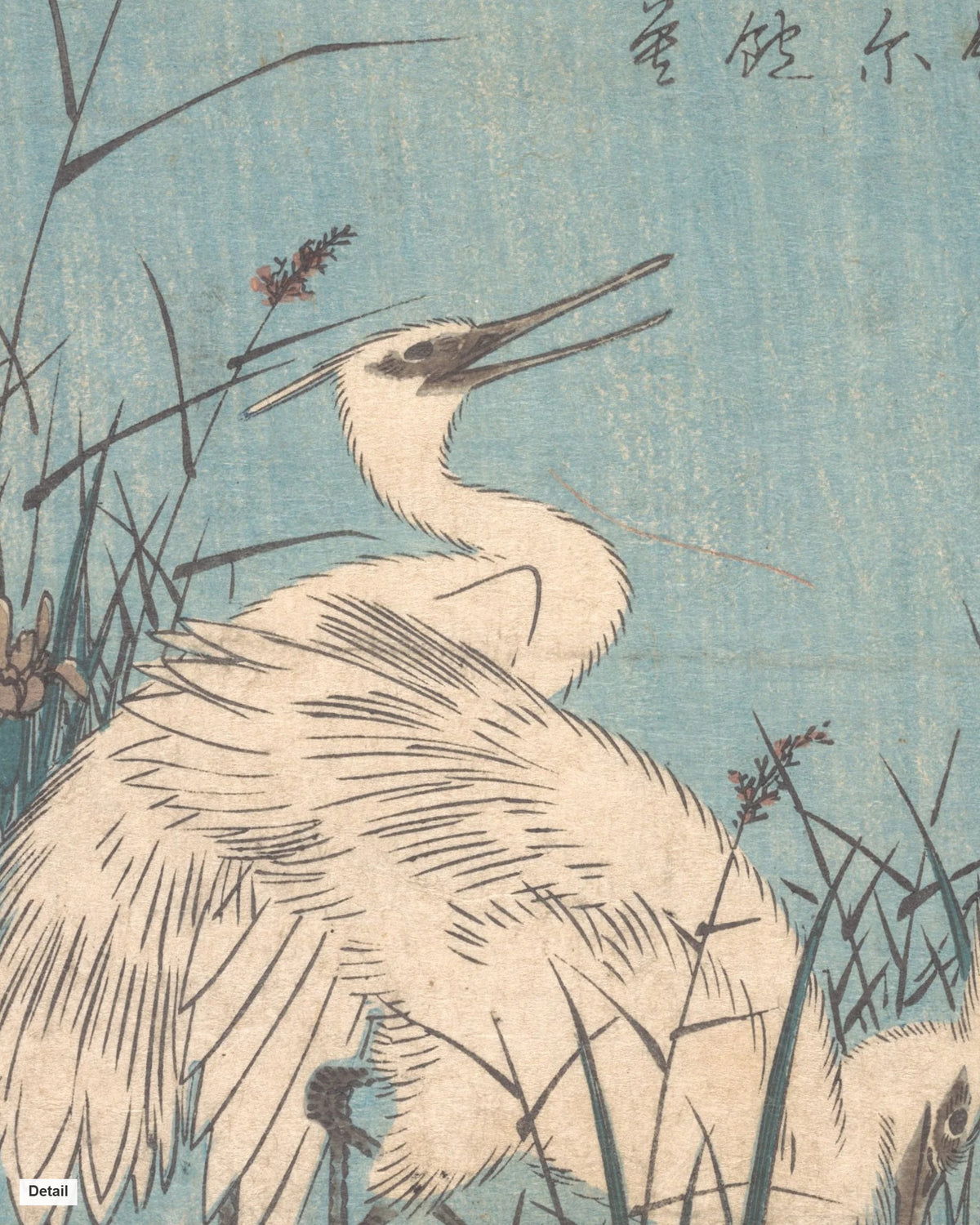 Close-up detail of Egrets amid Irises and Grasses by Hiroshige (1830s) Japanese woodblock print