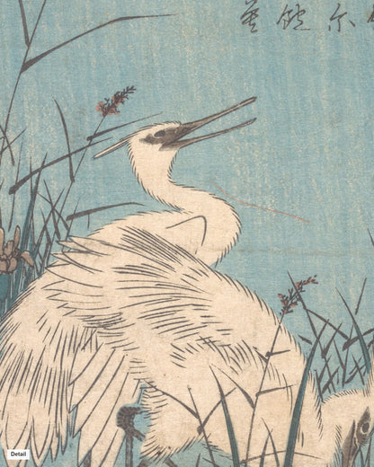 Close-up detail of Egrets amid Irises and Grasses by Hiroshige (1830s) Japanese woodblock print