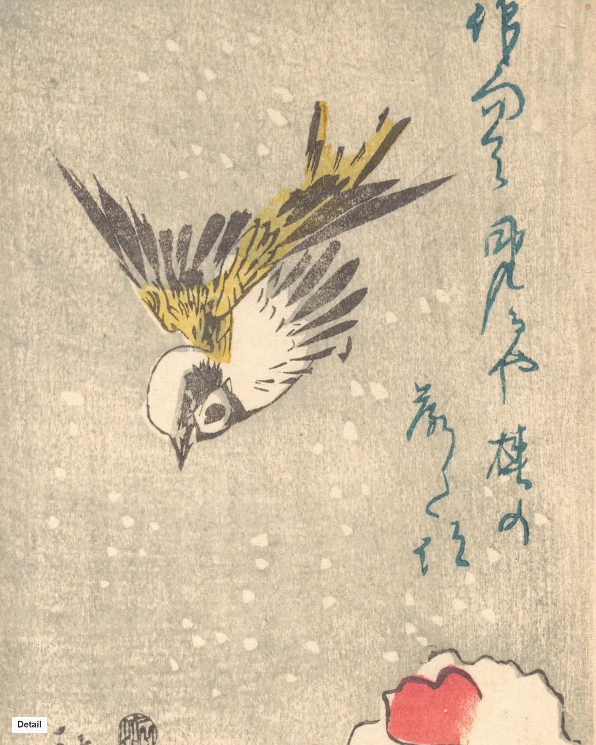 Close-up detail of Sparrow and Snowy Camellia by Hiroshige (c. 1845) Japanese woodblock print