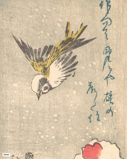 Close-up detail of Sparrow and Snowy Camellia by Hiroshige (c. 1845) Japanese woodblock print