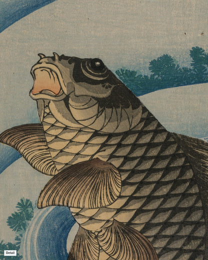 Close-up detail of Carp and Waterweeds by Taito II (early 1830s) Japanese woodblock print